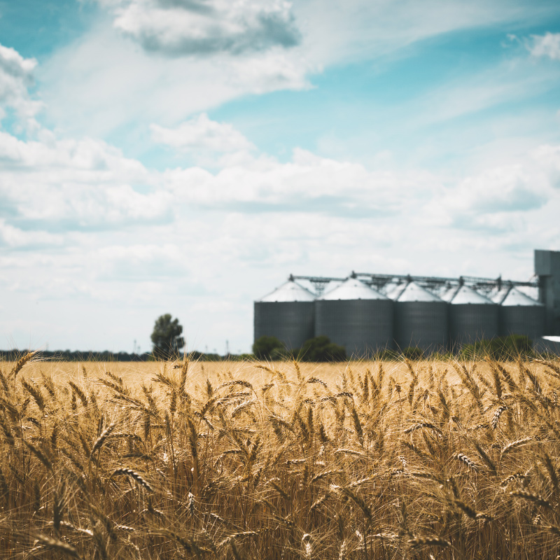 恒歌智能監(jiān)控溫濕度環(huán)境監(jiān)測(cè)解決方案 智慧糧倉(cāng)溫濕度監(jiān)控系統(tǒng) Featured Image